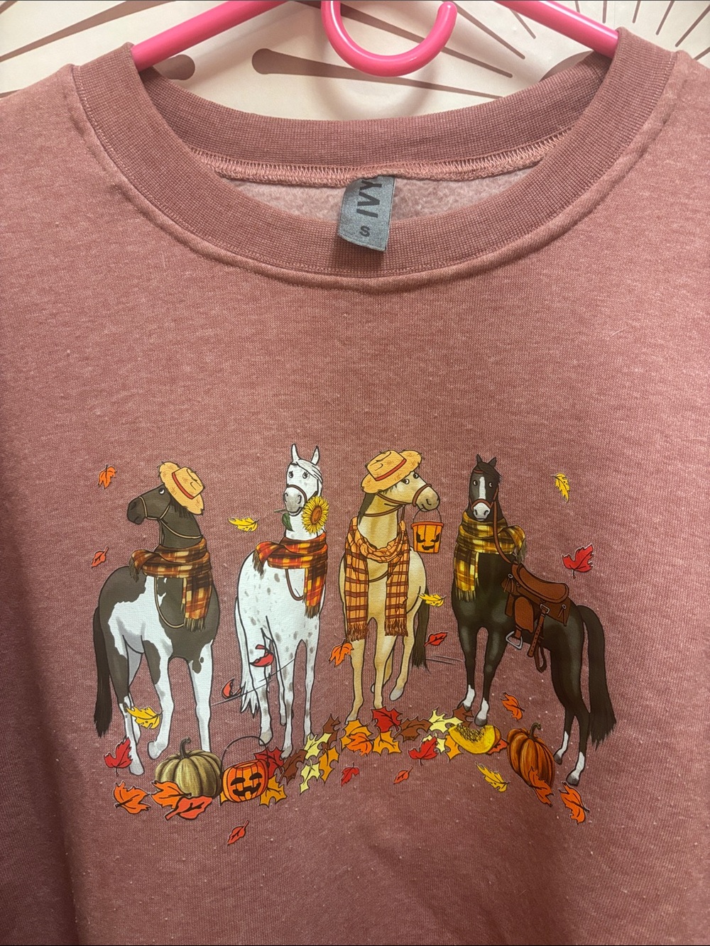 Women’s Fall Autumn Dusty Rose Pullover Sweatshirt with Horse Graphic - Picture 2 of 3